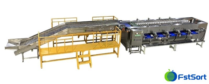 images/1739354718724Línea de clasificación y selección de lichi longan.jpg